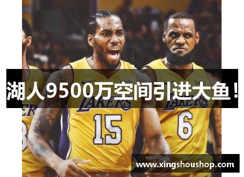 湖人9500万空间引进大鱼！